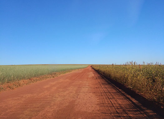 Estrada para a cachoeira perto de Brasilia