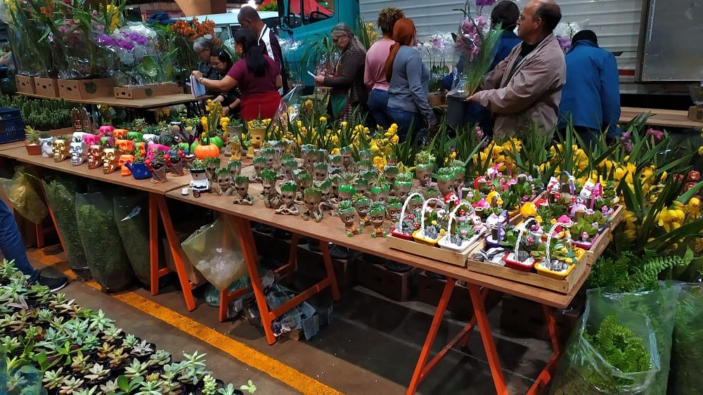 Mesa na Feira de Flores do CEAGESP com uma infinidade de vasinhos decorados com suculentas e cactos