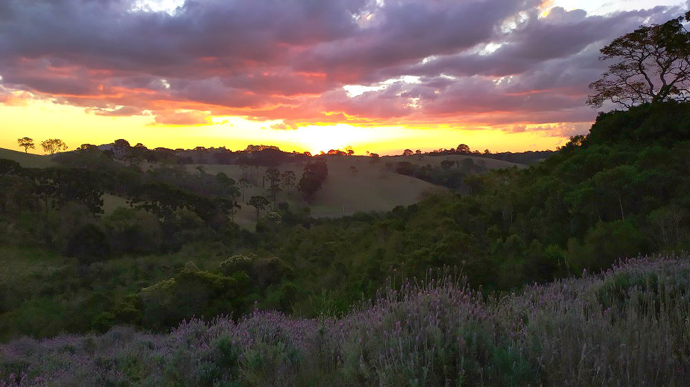 Lavanda em Cunha: Contemplário