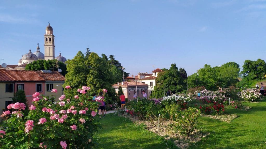 Vista do Roseto di Santa Giustina em Pádua, na Itália