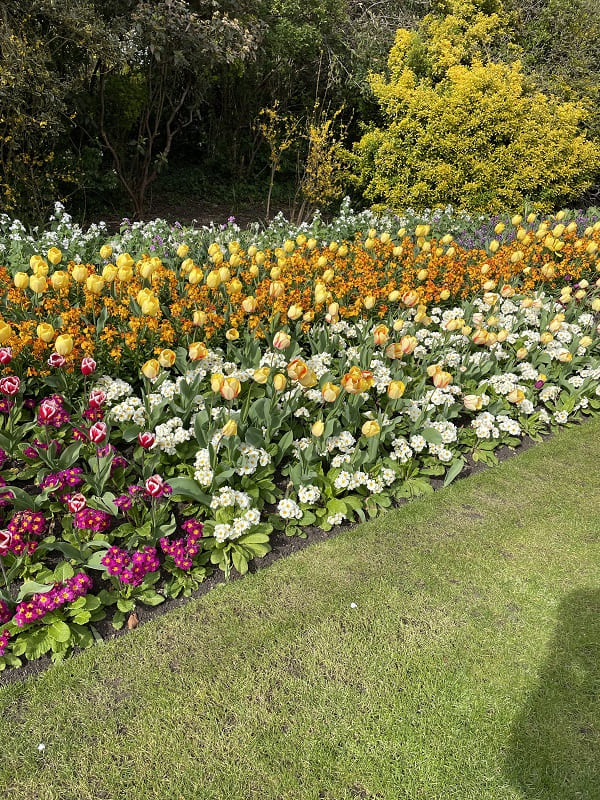 Flores no St James Park em Londres