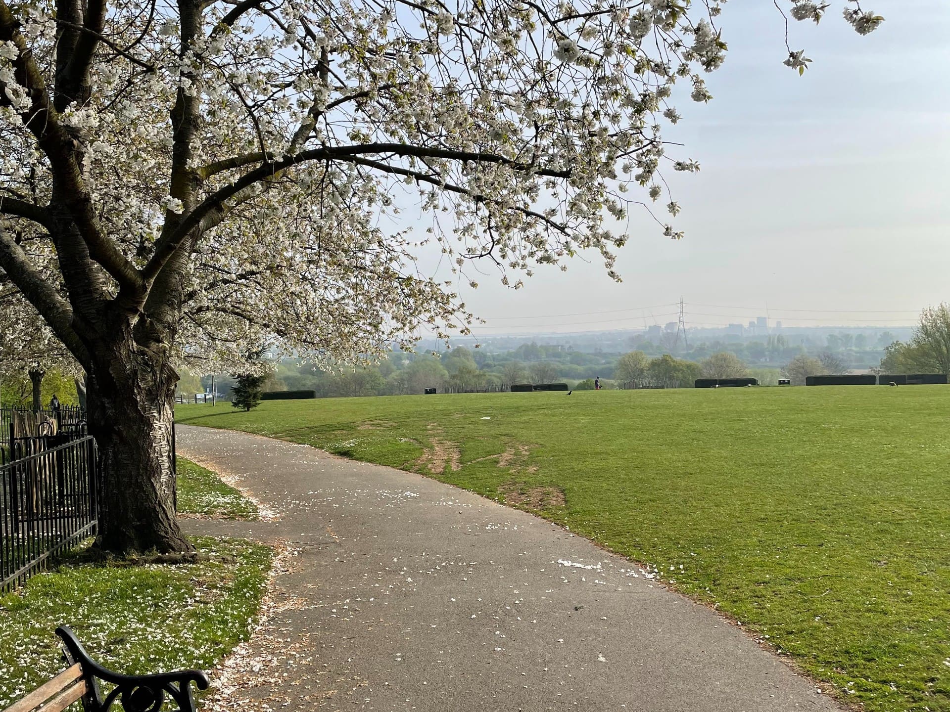 Vista de parque em Londres na primavera
